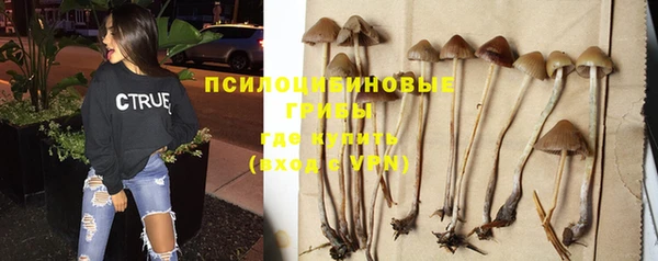 a pvp Балахна