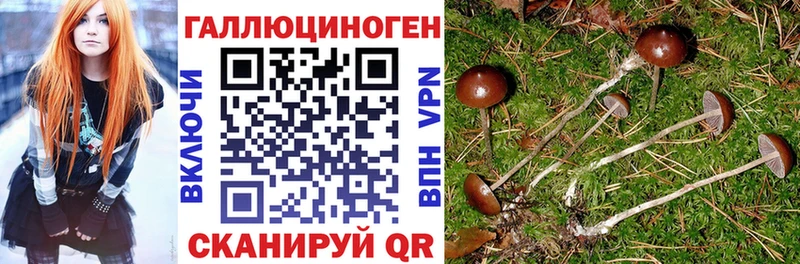 ОМГ ОМГ зеркало  где продают наркотики  Углегорск  Псилоцибиновые грибы мицелий 